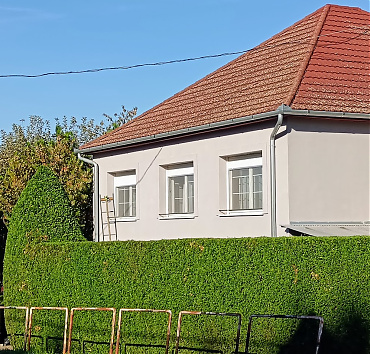 Tuja sövény kúp alakú végződéssel - Magas nyugati tuja sövény a kapu két oldalán kúpban végződik.